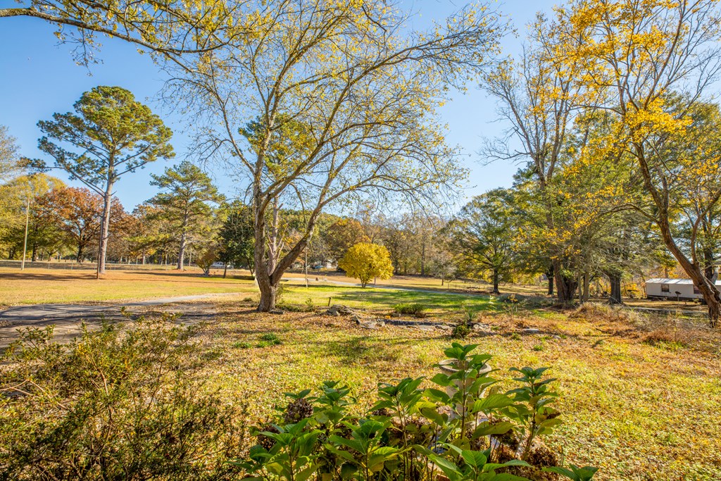 685 Goswick Road Chatsworth, GA 30705 - Photo 11 of 43 Gallery Image 11