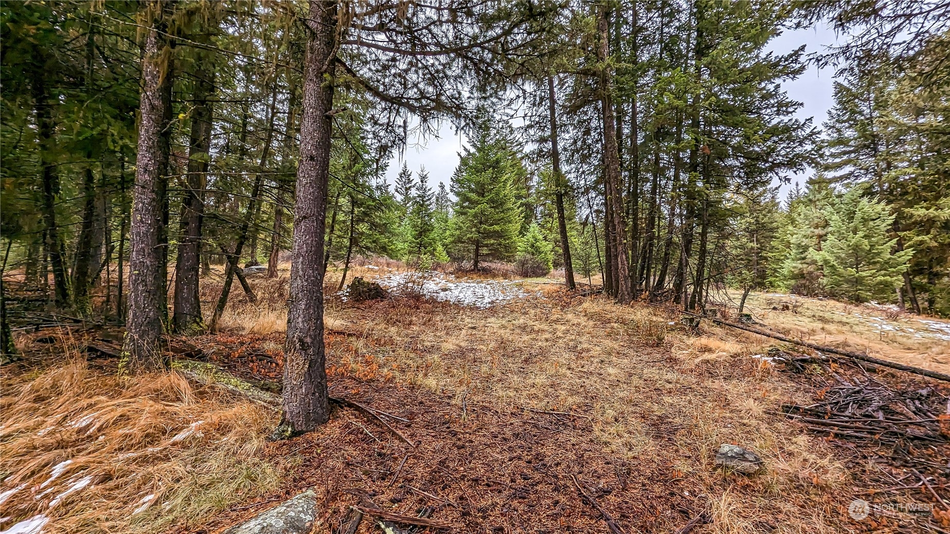 42 Forest Road Oroville, WA 98844 - Photo 16 of 40 Gallery Image 16