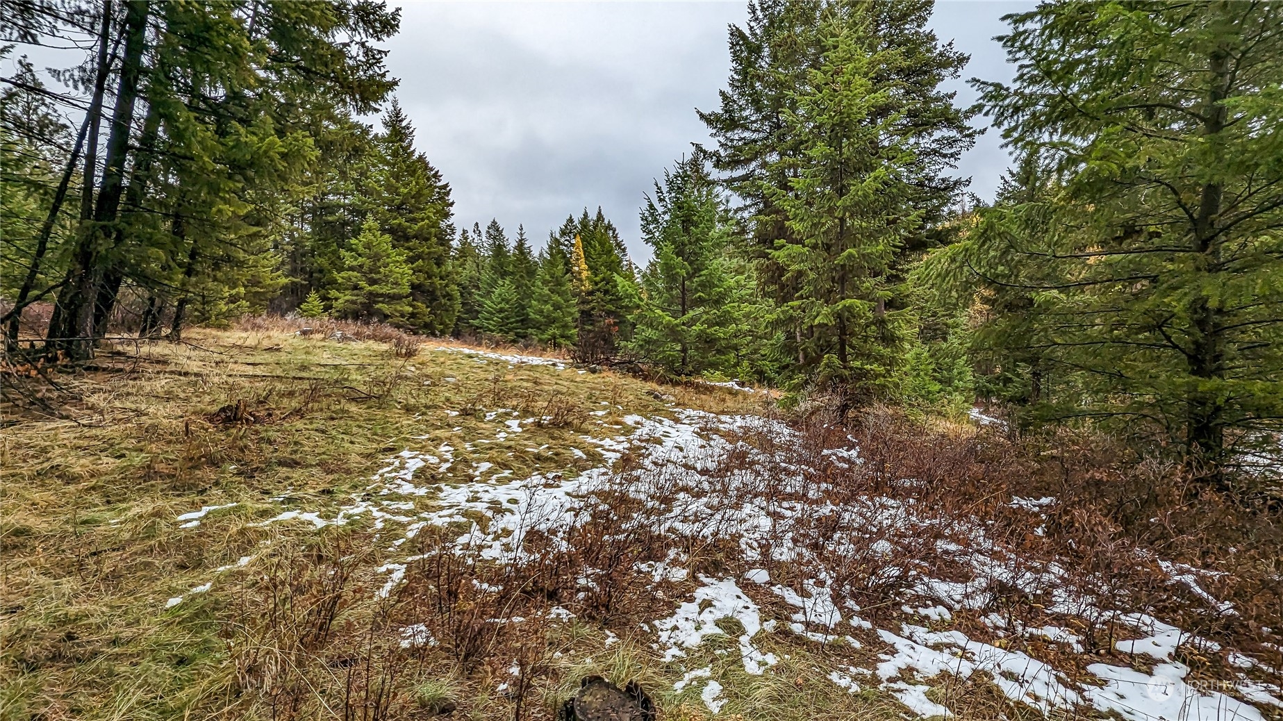 42 Forest Road Oroville, WA 98844 - Photo 18 of 40 Gallery Image 18