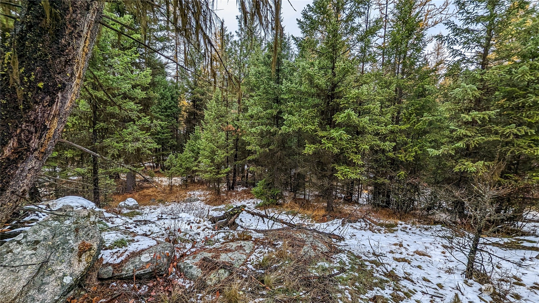 42 Forest Road Oroville, WA 98844 - Photo 3 of 40 Gallery Image 3