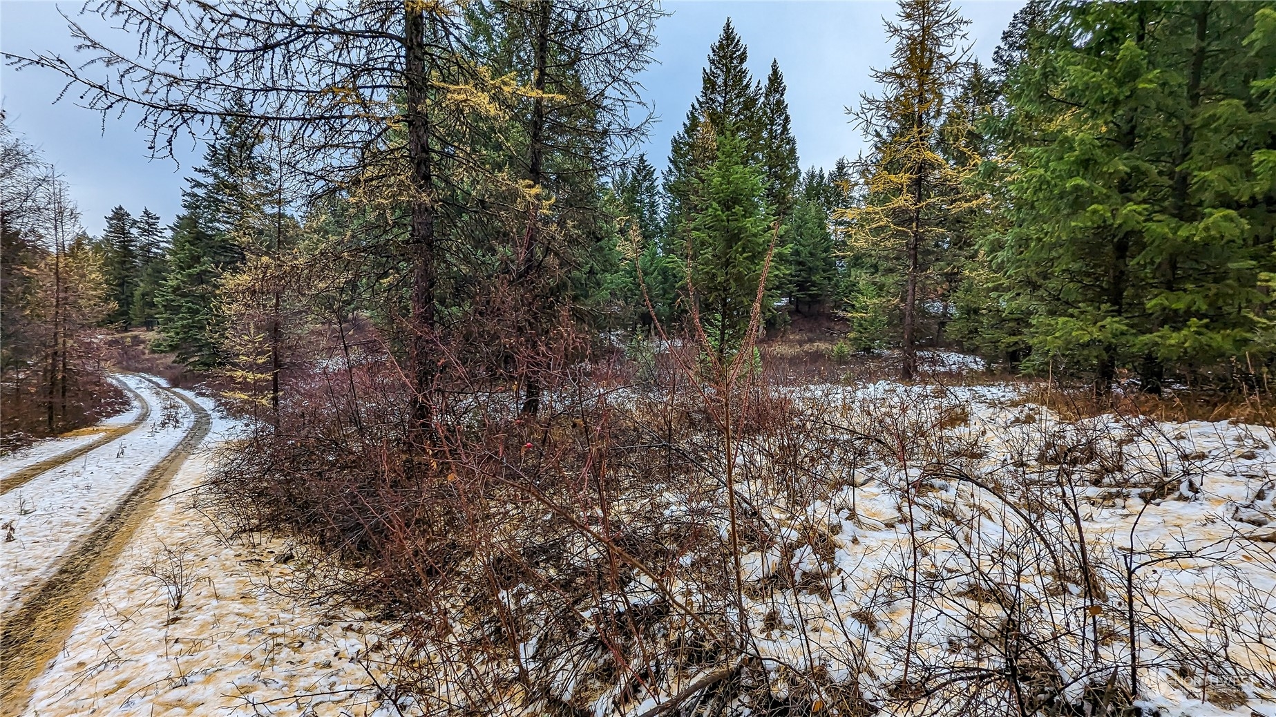 42 Forest Road Oroville, WA 98844 - Photo 6 of 40 Gallery Image 6
