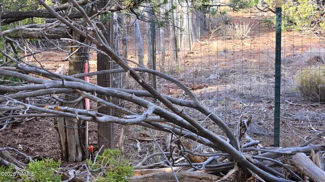 a large building with trees in front of it