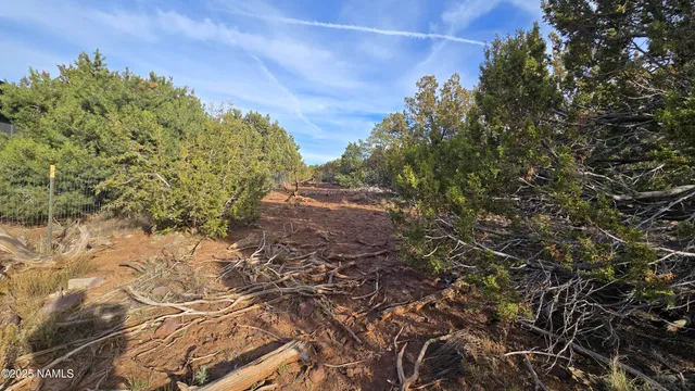 a view of a yard with plants and a building