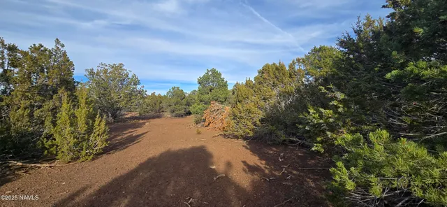 a view of a road with a yard