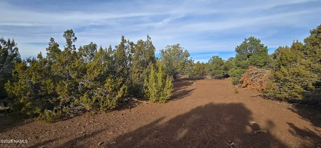 a view of a city street with a building in the background