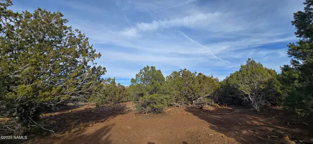 a view of a street with trees in the background