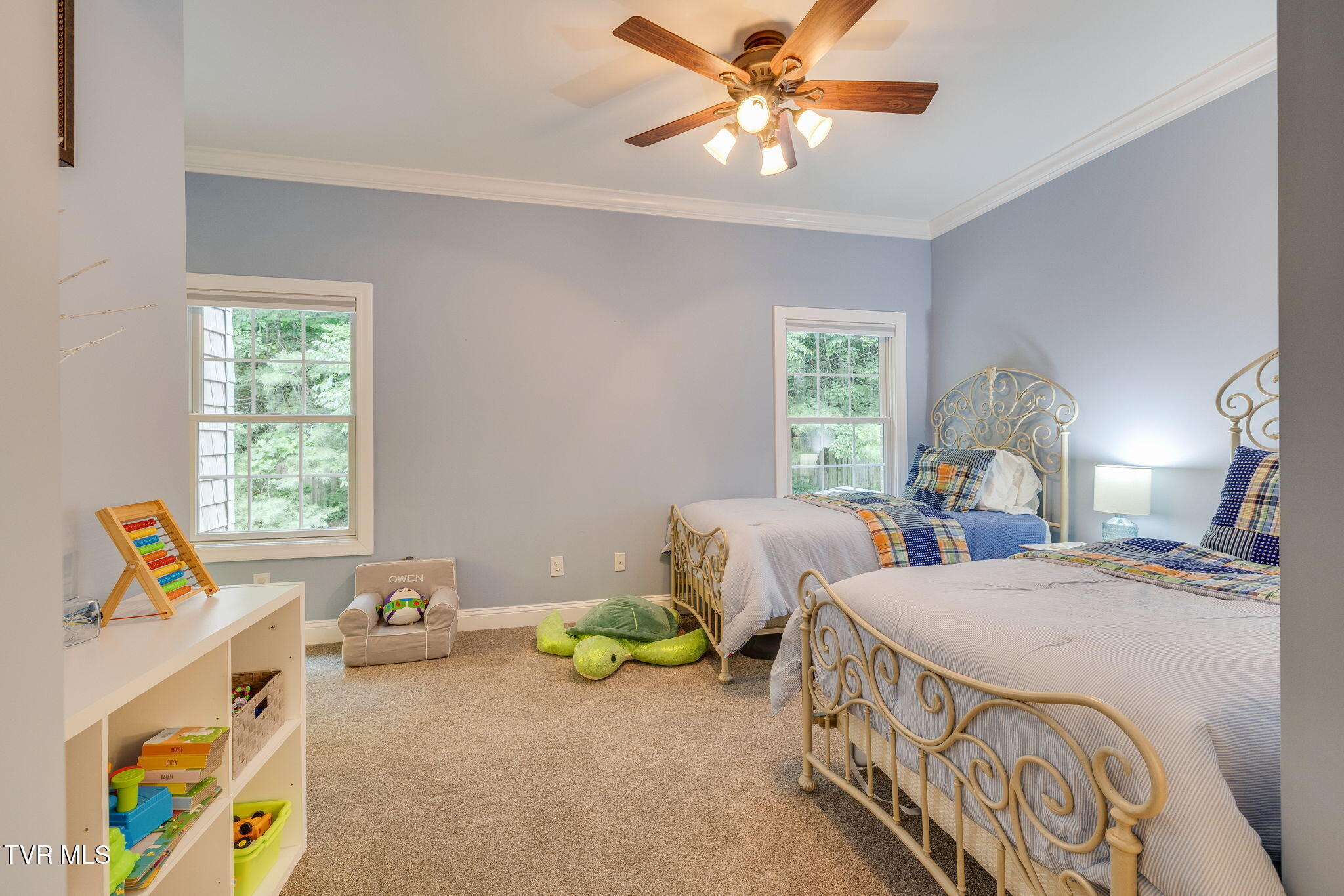 487 Barr Road Blountville, TN 37617 - Photo 54 of 88 044