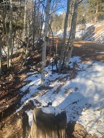 585 Princess Road Cripple Creek, CO 80813 - Photo 2 of 9 Gallery Image 2