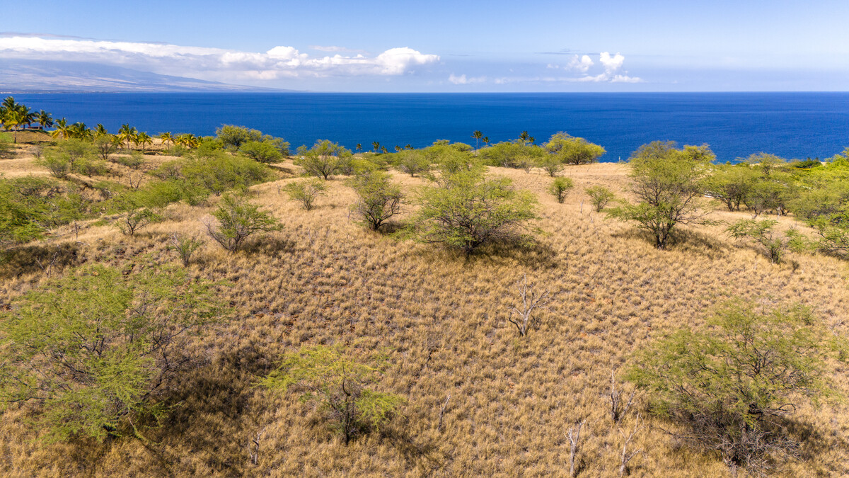 217 Olomana Road Kamuela, HI 96743 - Photo 2 of 9