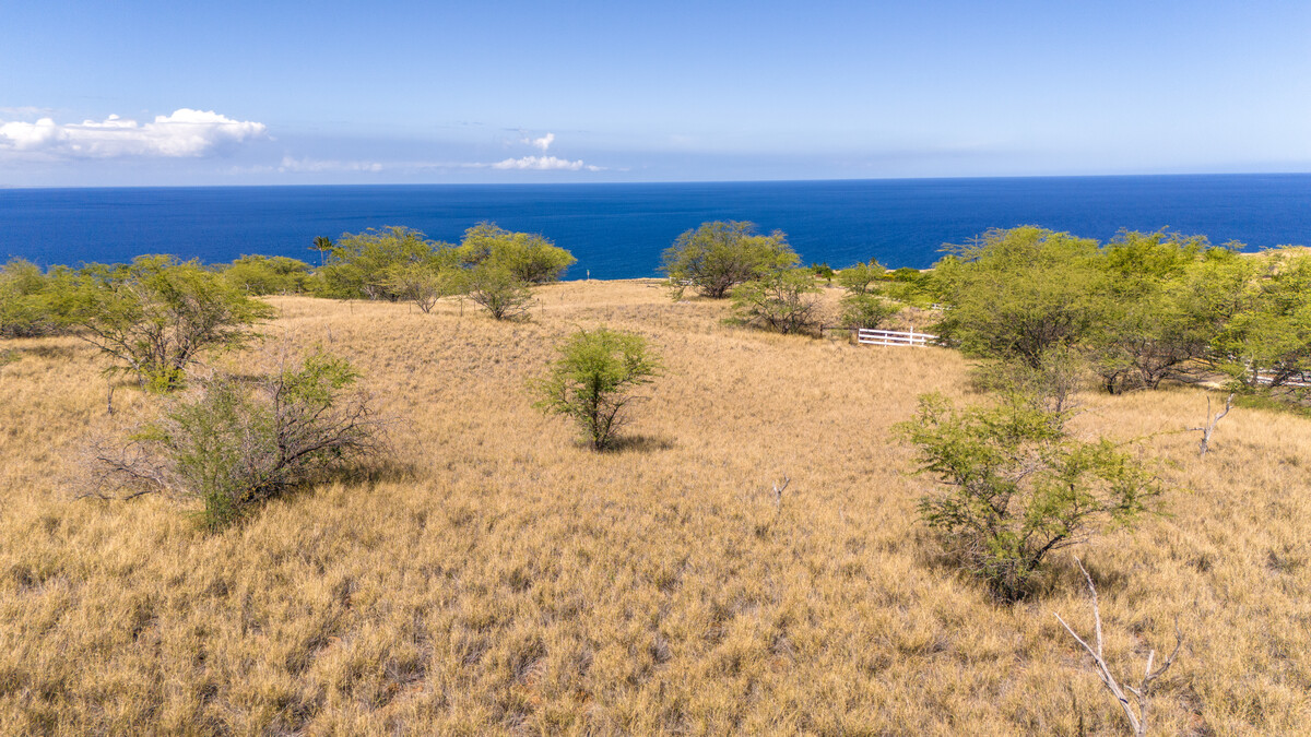 217 Olomana Road Kamuela, HI 96743 - Photo 8 of 9