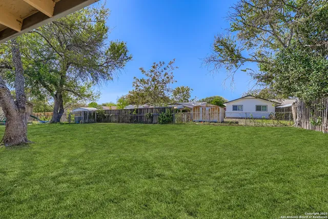 a view of a field with a tree in the background