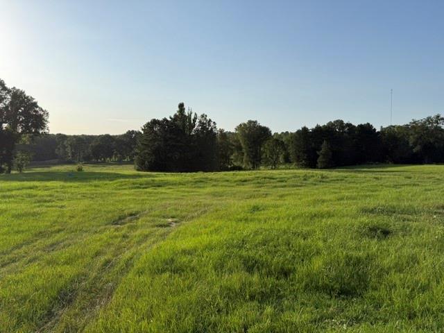 0 Highway 540 Highway Homer, LA 71040 - Photo 16 of 22