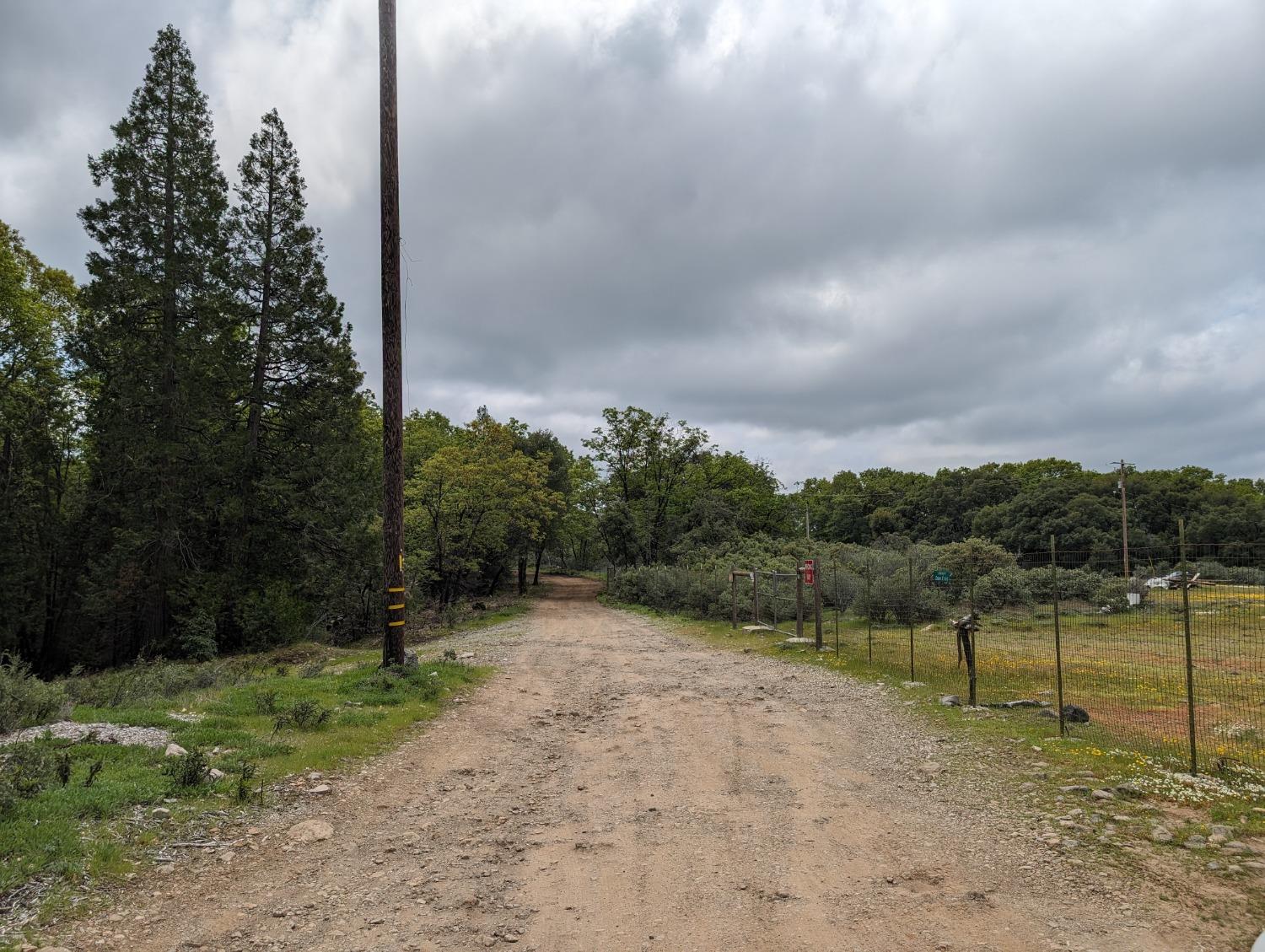 16805 Jones Ridge Road Grass Valley, CA 95945 - Photo 2 of 8 a view of a field with a tree in the background
