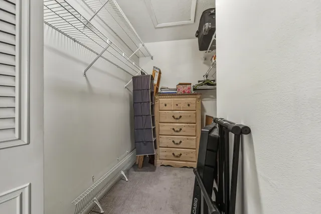 walk in closet with window
