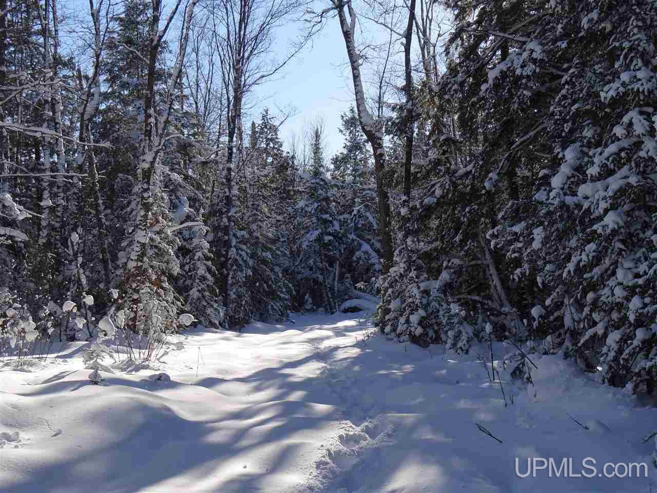 Tbd Irwin Road Baraga, MI 49908 - Photo 25 of 27