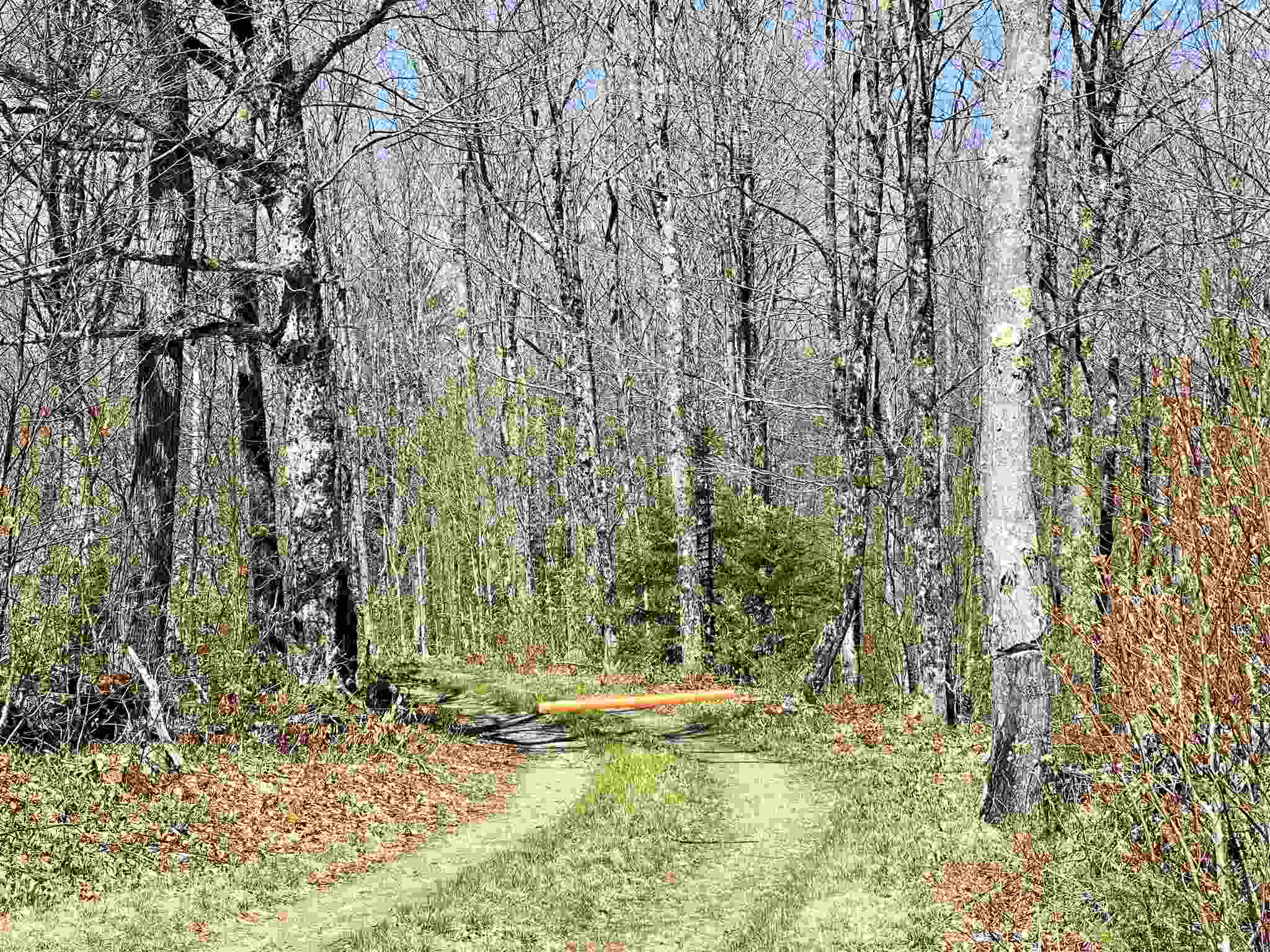 Lot 1 Rodin Road Averill, VT 05901 - Photo 12 of 32