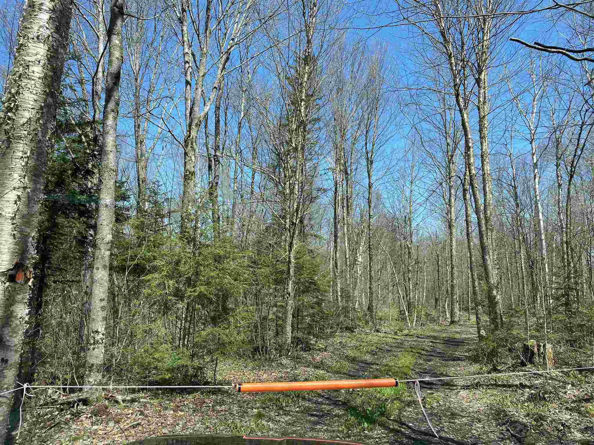 Lot 1 Rodin Road Averill, VT 05901 - Photo 13 of 32