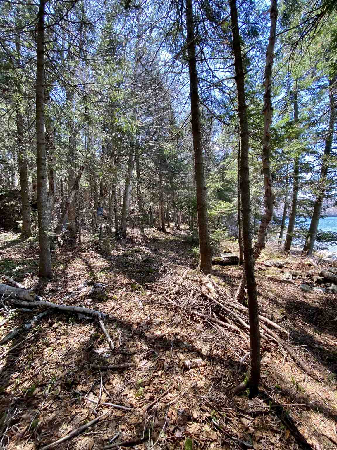 Lot 1 Rodin Road Averill, VT 05901 - Photo 25 of 32