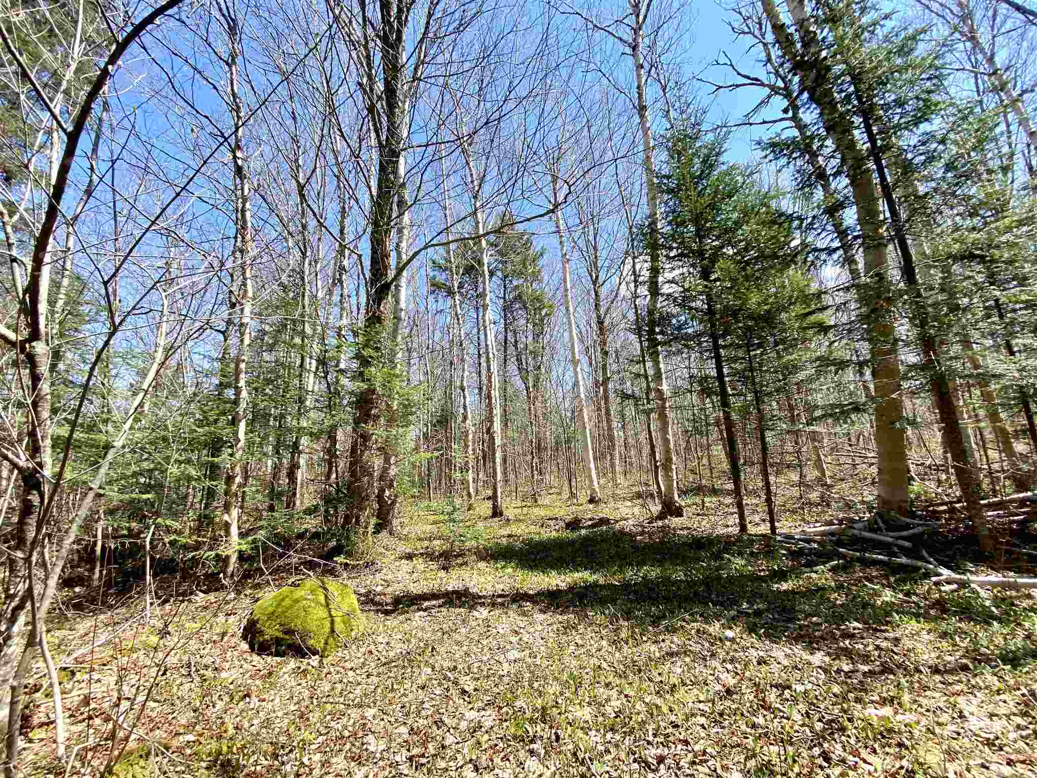 Lot 1 Rodin Road Averill, VT 05901 - Photo 26 of 32