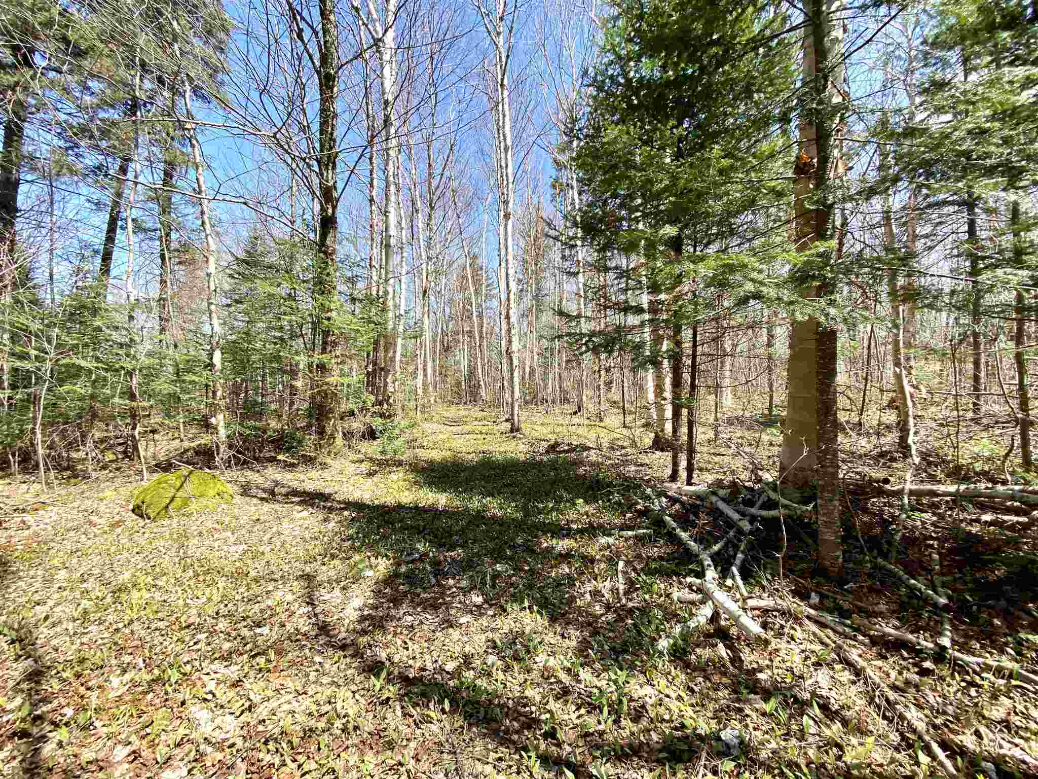 Lot 1 Rodin Road Averill, VT 05901 - Photo 27 of 32