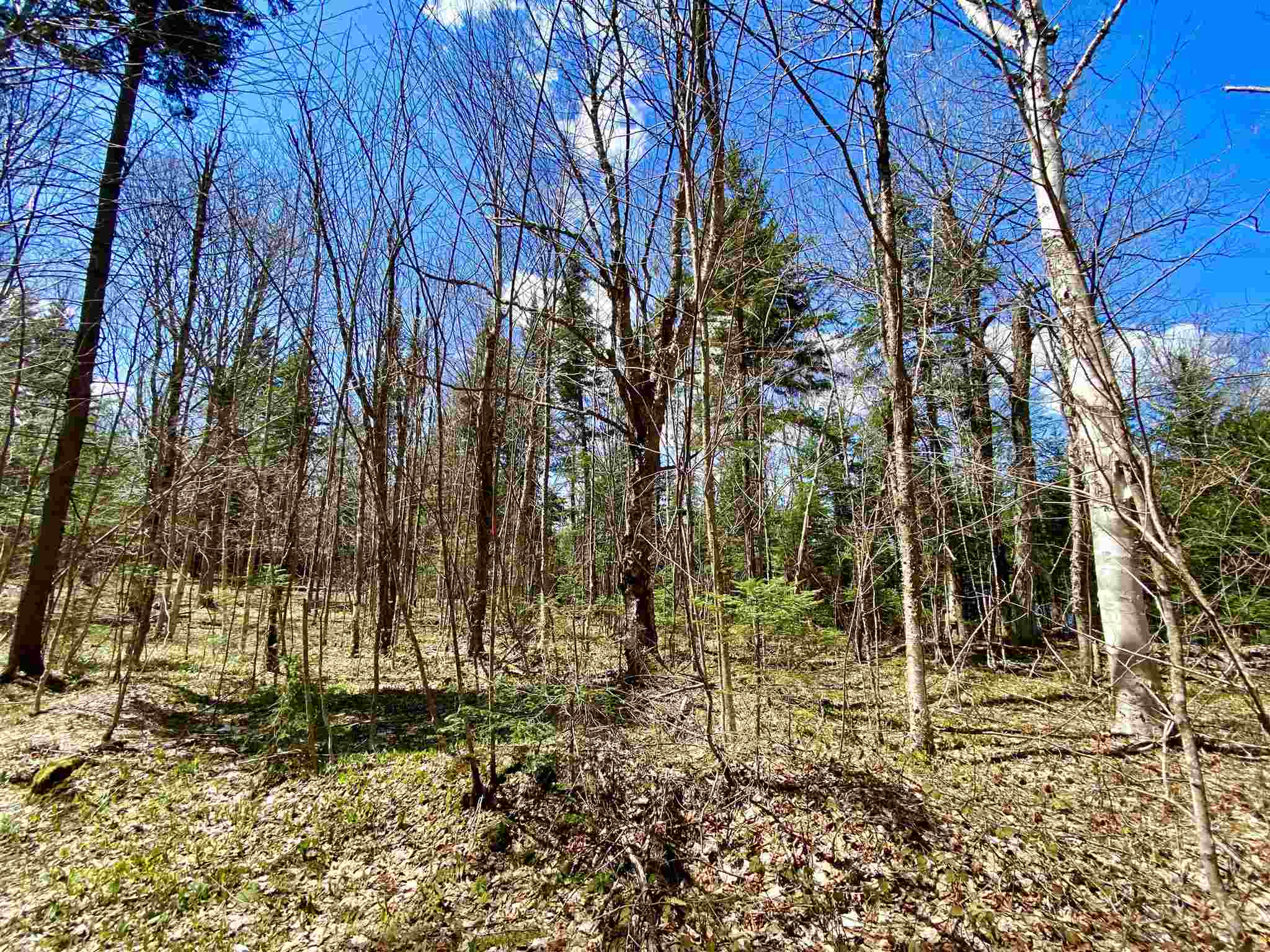 Lot 1 Rodin Road Averill, VT 05901 - Photo 28 of 32