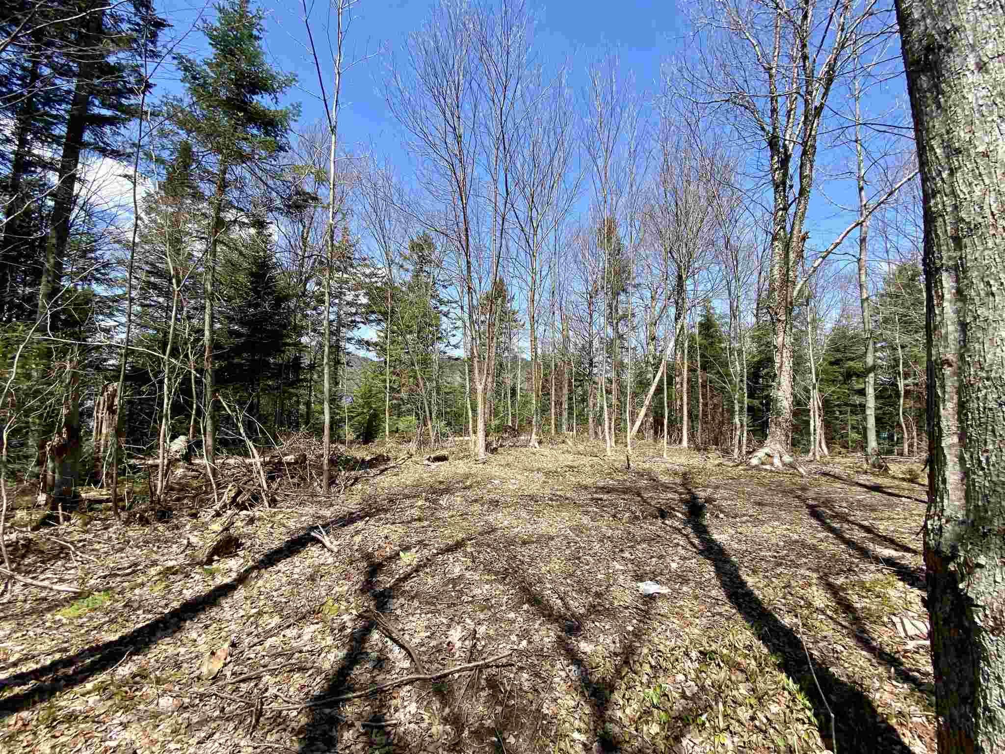 Lot 1 Rodin Road Averill, VT 05901 - Photo 29 of 32