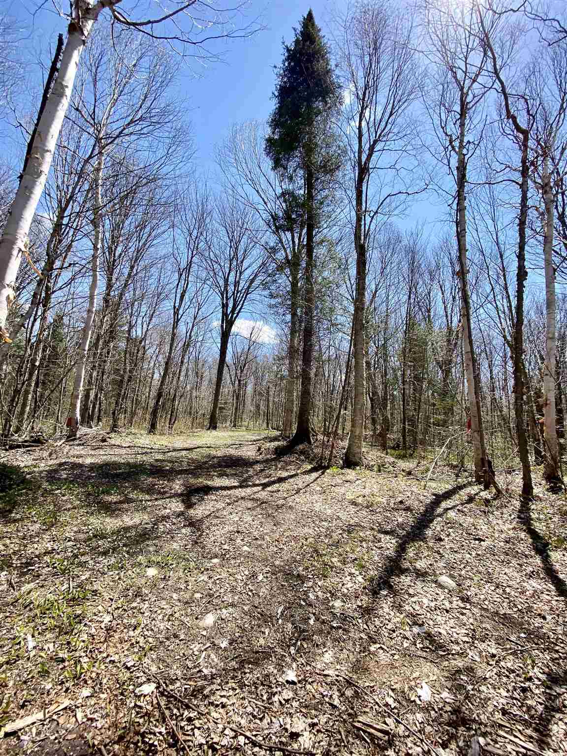 Lot 1 Rodin Road Averill, VT 05901 - Photo 30 of 32