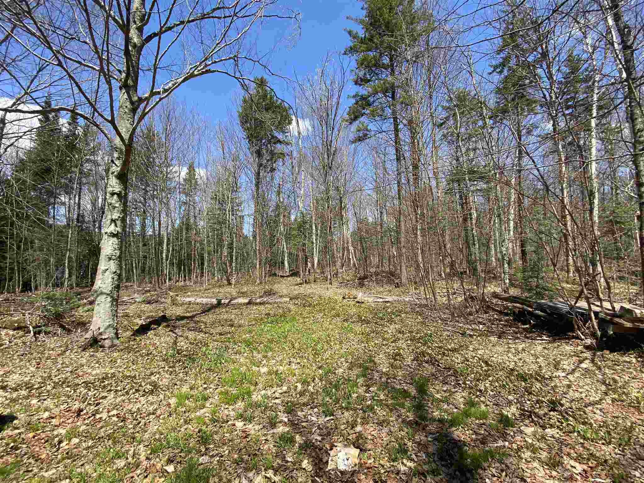 Lot 1 Rodin Road Averill, VT 05901 - Photo 31 of 32