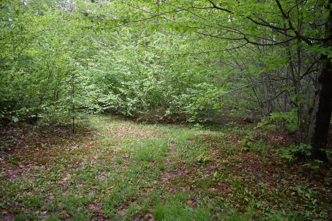 Lot 1 Rodin Road Averill, VT 05901 - Photo 8 of 32