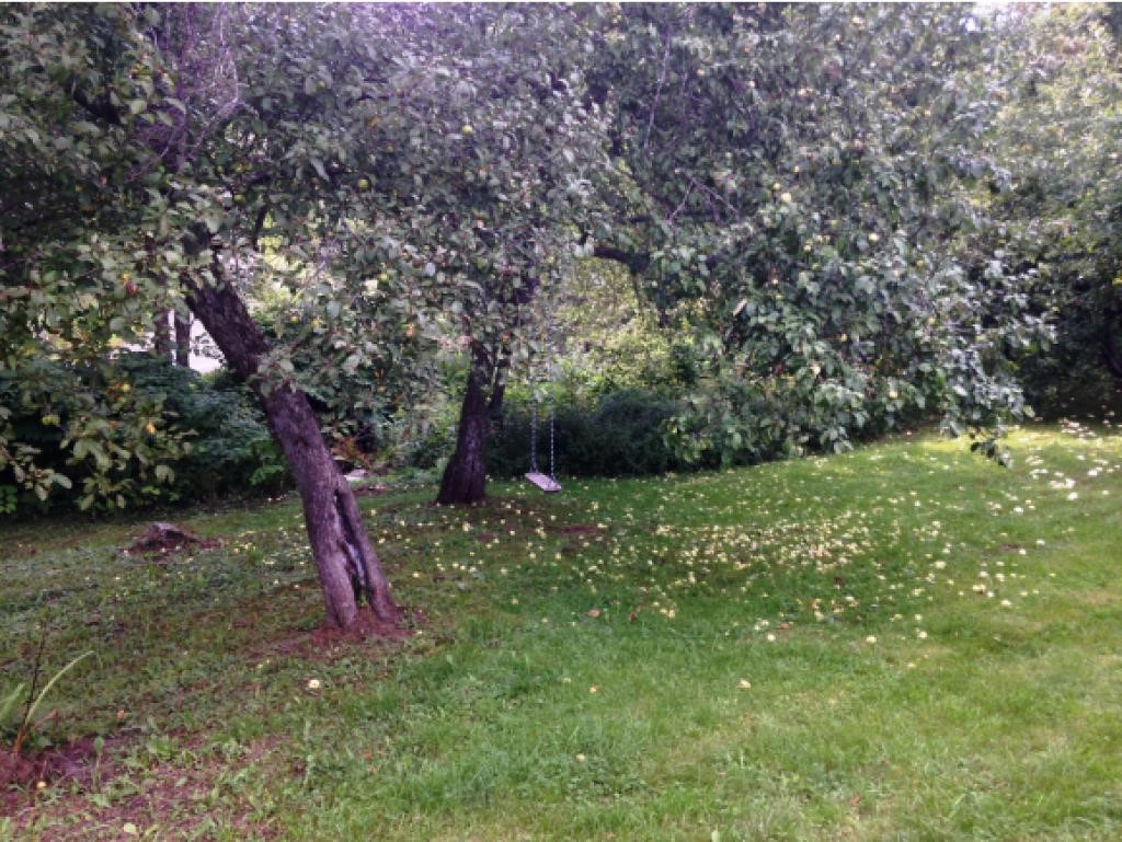 76 Moses Clark Road Landaff, NH 03585 - Photo 27 of 31