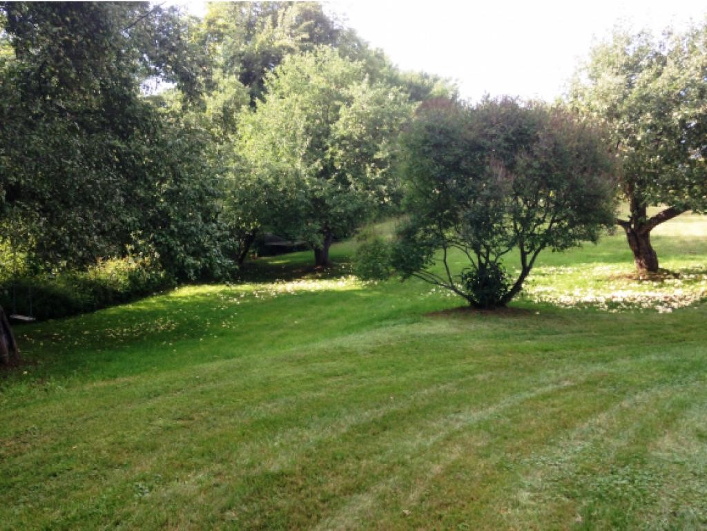 76 Moses Clark Road Landaff, NH 03585 - Photo 29 of 31