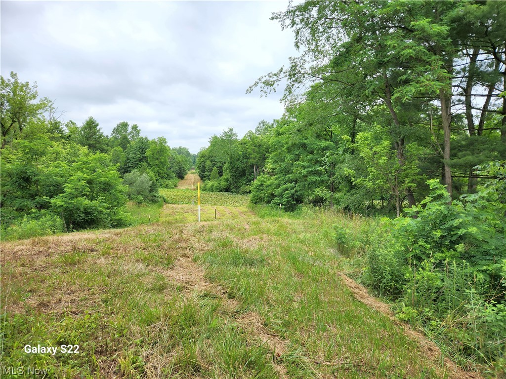 20856 Foster Road Wellington, OH 44090 - Photo 34 of 35 Gallery Image 34