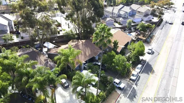 a picture of flowers