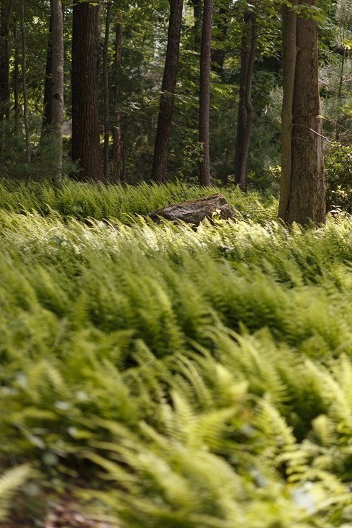 8 Hawk Hill Road Lincoln, MA 01773 - Photo 32 of 33