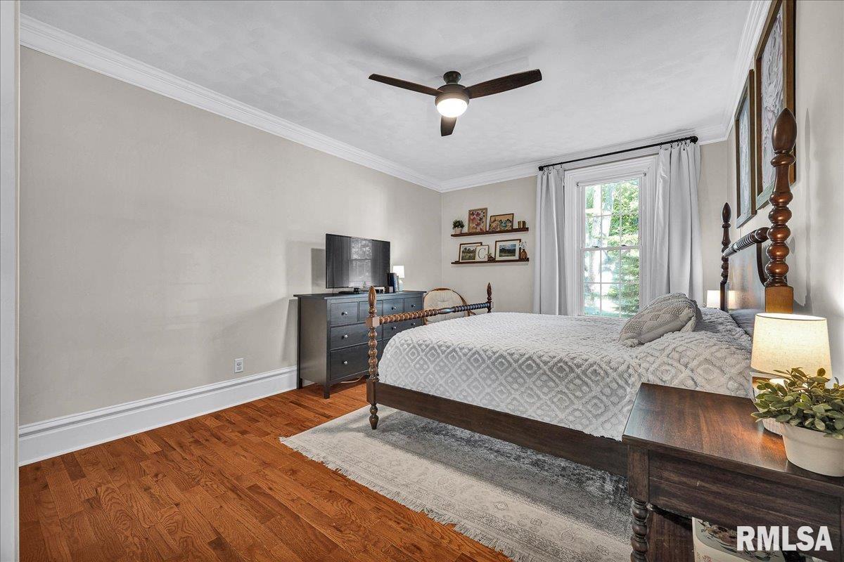 801 West 3rd Street Delavan, IL 61734 - Photo 11 of 45