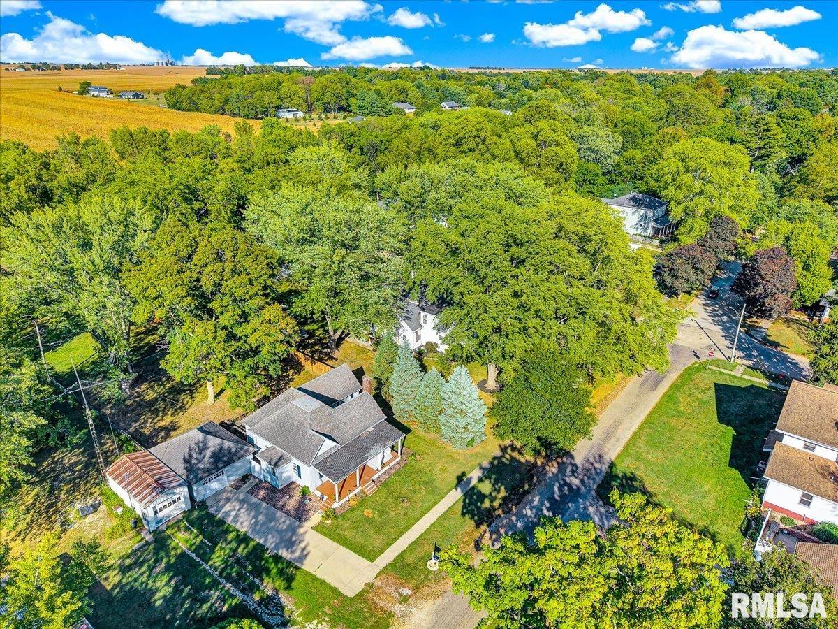 801 West 3rd Street Delavan, IL 61734 - Photo 38 of 45