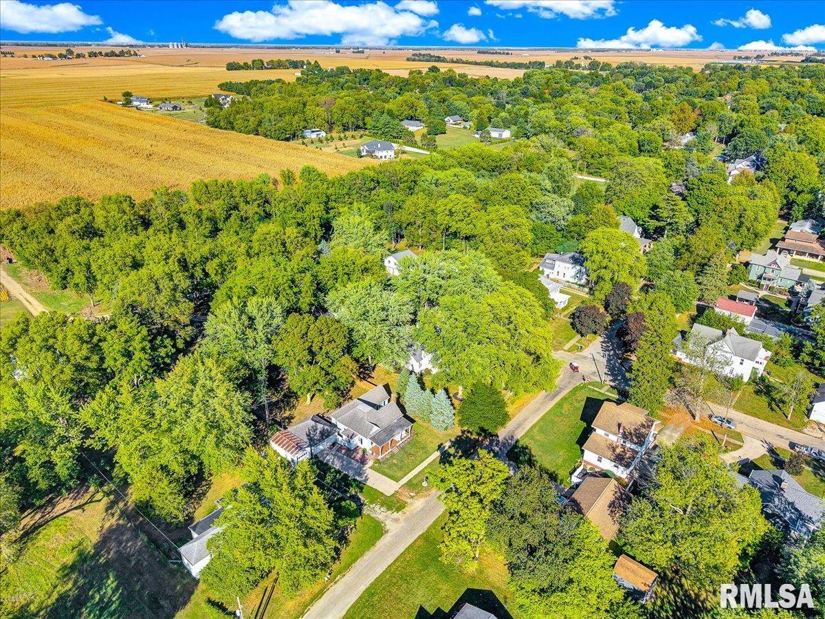 801 West 3rd Street Delavan, IL 61734 - Photo 39 of 45