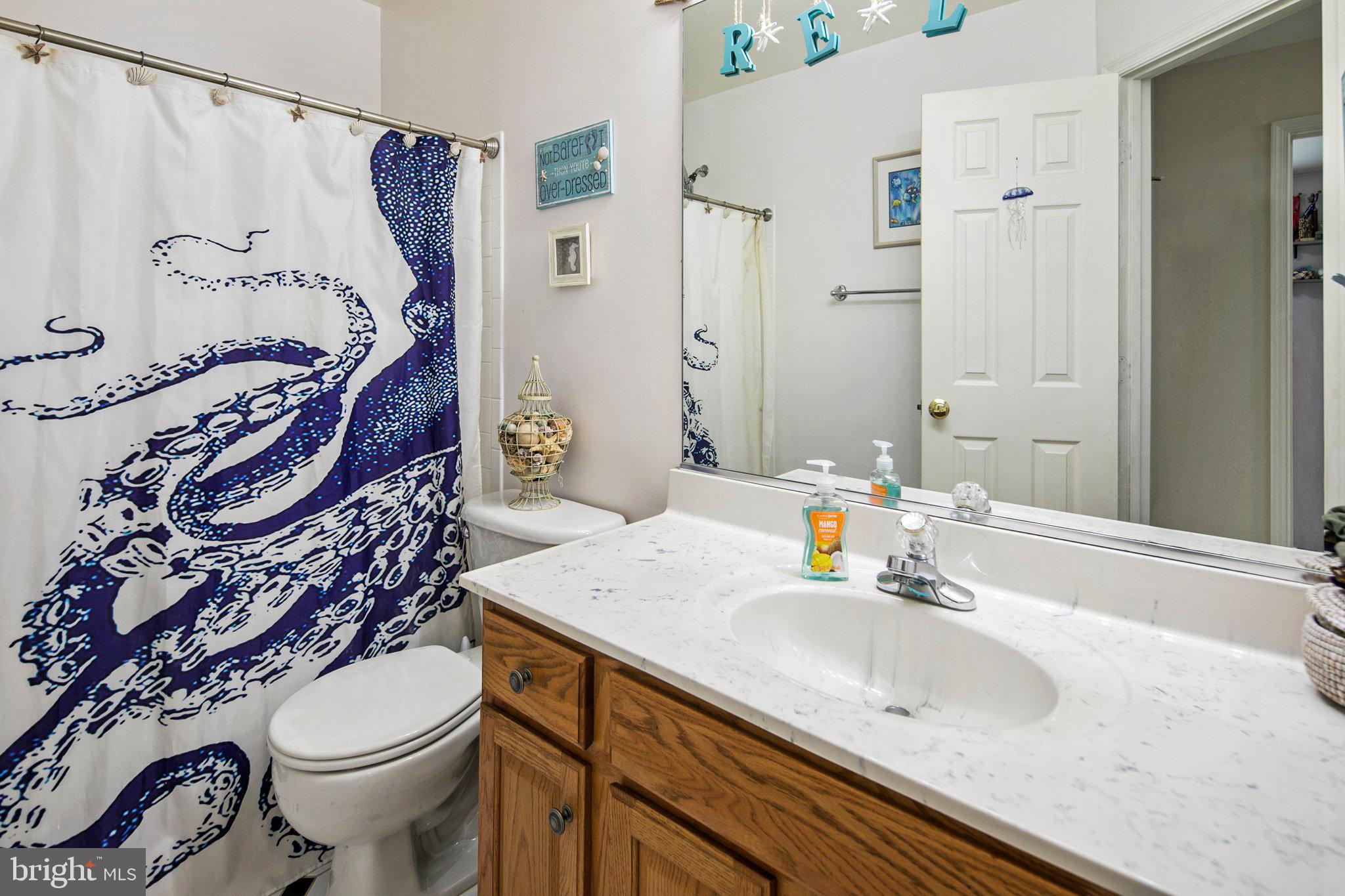 1747 Canal Run Drive Point of Rocks, MD 21777 - Photo 18 of 26 2nd full bath