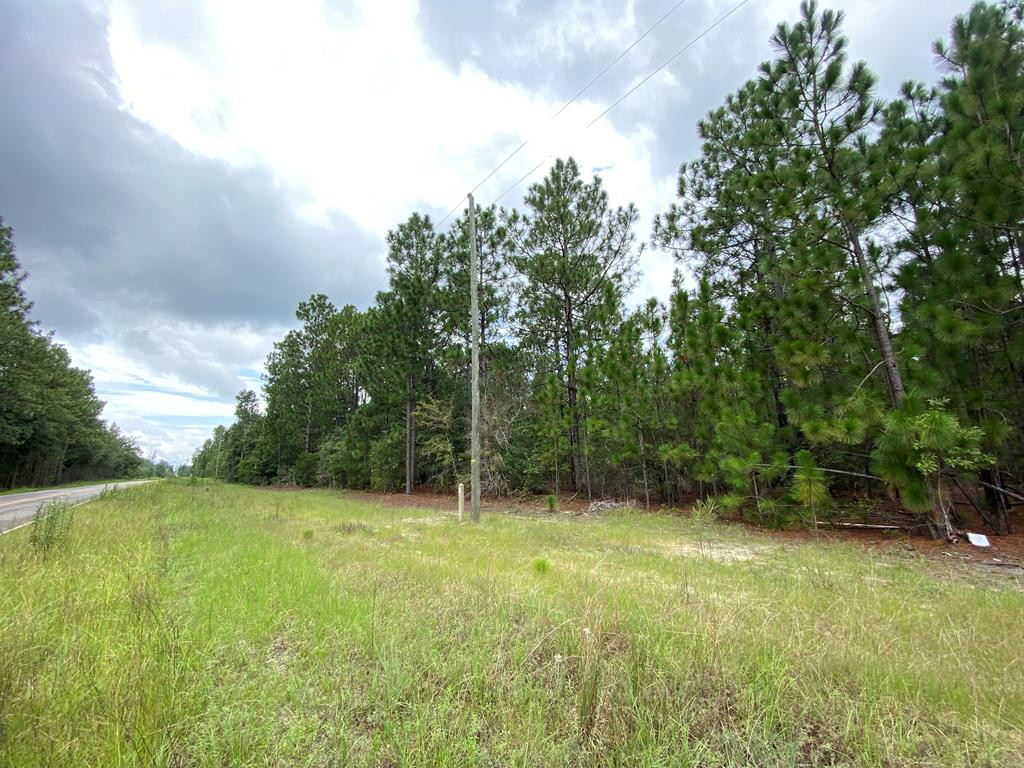51.92-acre State Park Road Windsor, SC 29856 - Photo 4 of 14