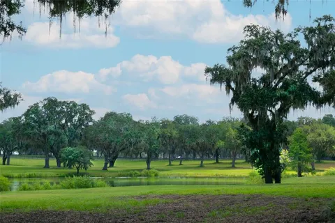a view of a garden