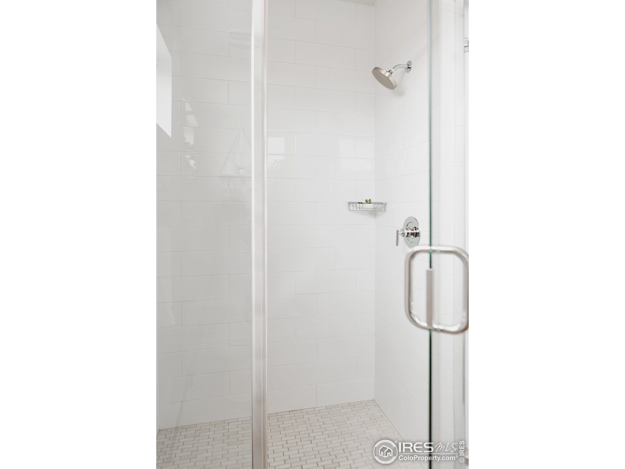 741 24th Street Denver, CO 80205 - Photo 26 of 44 Tiled shower