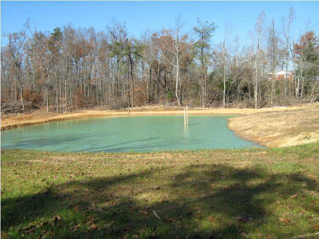 869 Jock Road Bee Spring, KY 42207 - Photo 2 of 6 Additional Photo