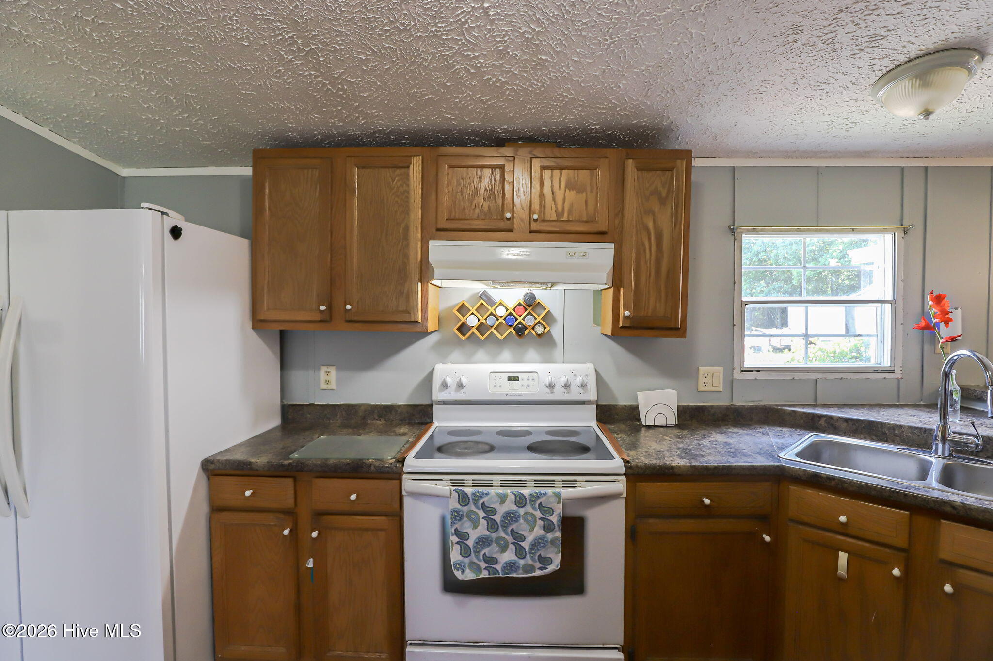 248 Mt Calvary Road Trenton, SC 29847 - Photo 7 of 34