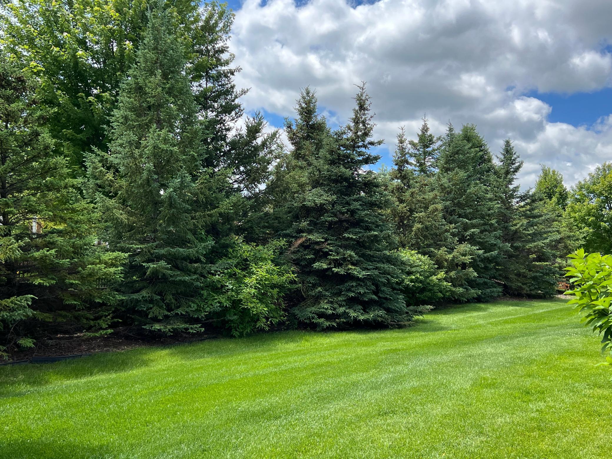 18067 76th Place North Maple Grove, MN 55311 - Photo 3 of 21