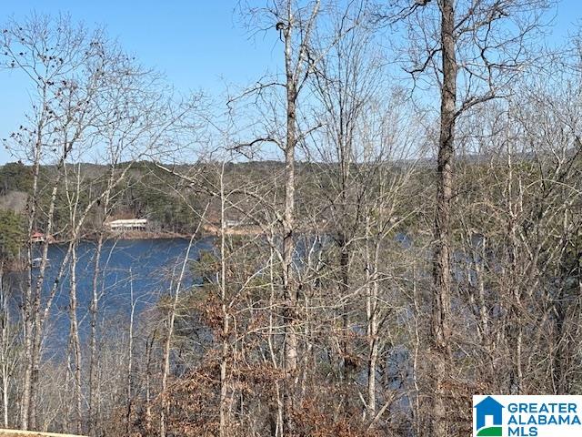 232 Sunset Strip, Unit 14 & 9 & 8 Oneonta, AL 35121 - Photo 9 of 21