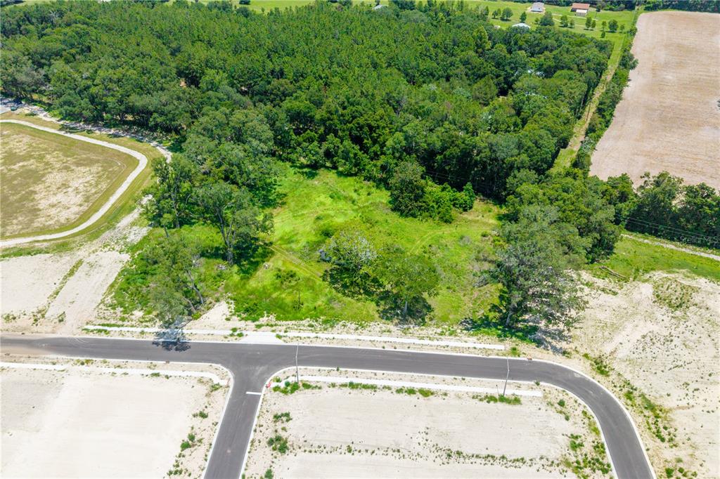 23479 West Newberry Road Newberry, FL 32669 - Photo 18 of 22