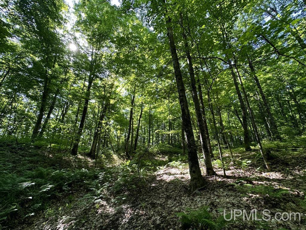 0 County Road 553 Road Marquette, MI 49855 - Photo 26 of 38
