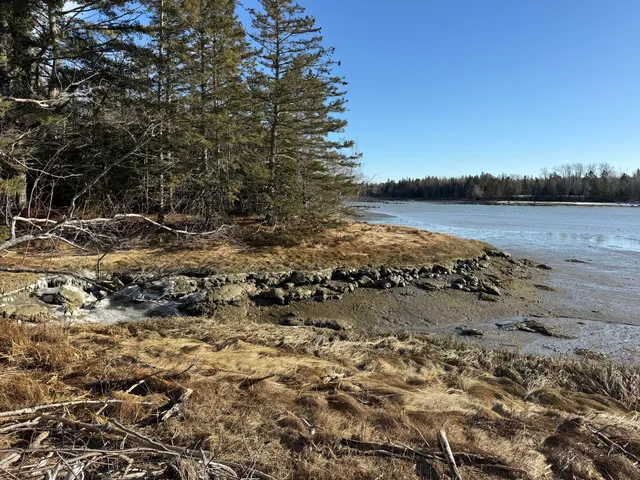 $295,000 | 0 Mallard Lane, Lamoine, ME 04605