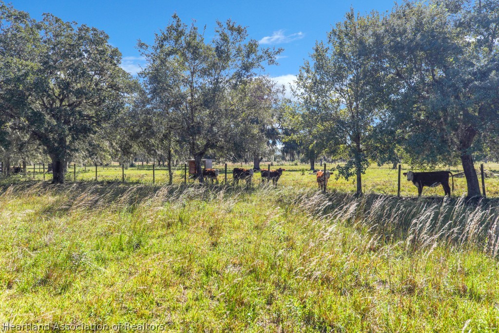701 Old State Road Venus, FL 33960 - Photo 18 of 34 Gallery Image 18
