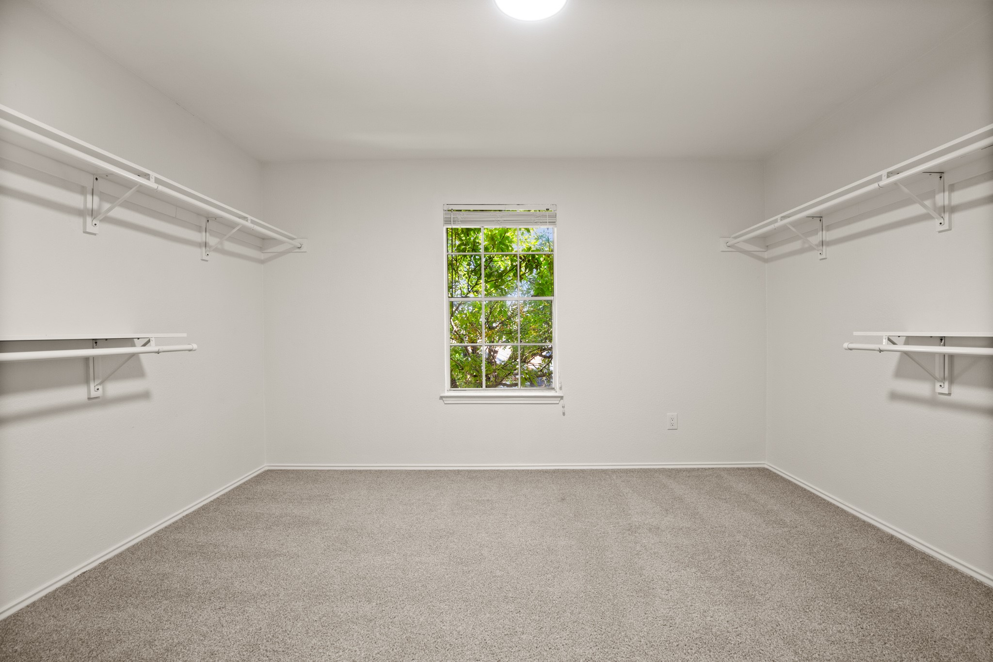 2011 Monica Lane Round Rock, TX 78664 - Photo 15 of 26